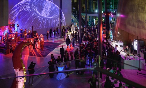 Ghanimé_Soirée voeux Caceis 320 Large